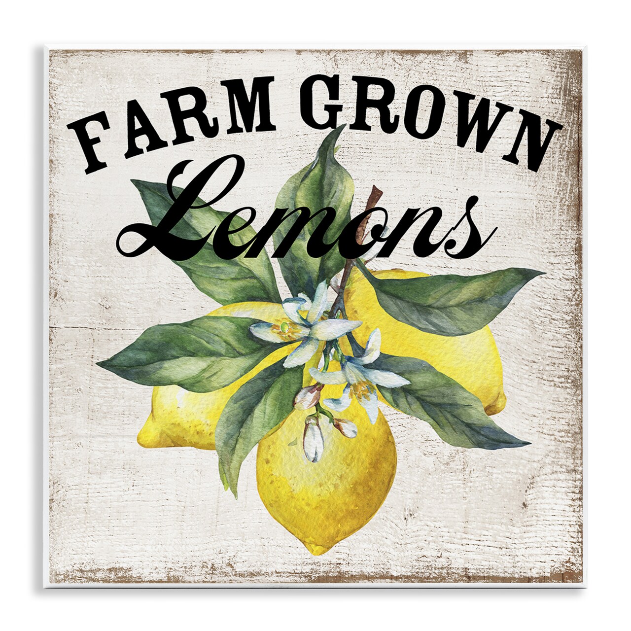 Stupell Industries Farm Grown Lemons Wall Plaque Art Design by Creatif Belle
